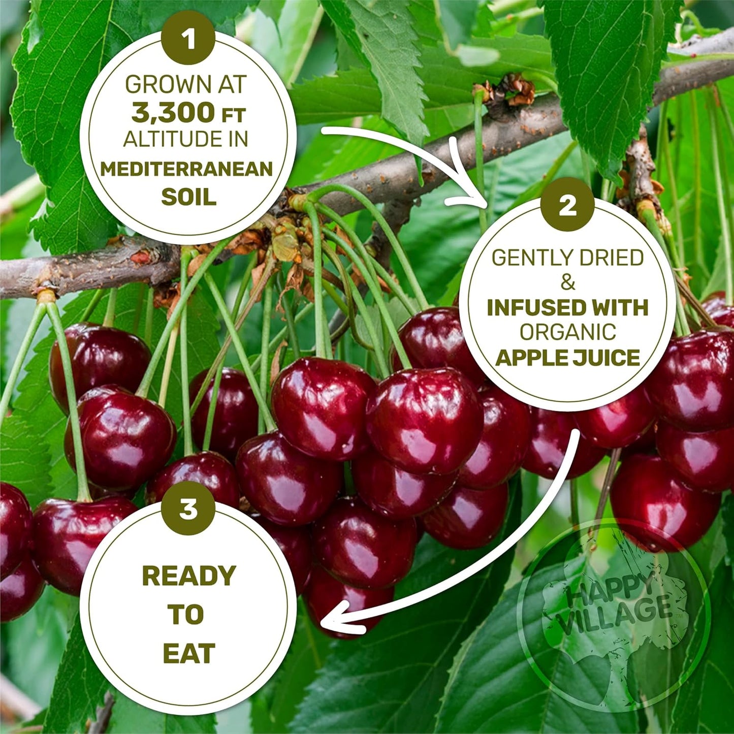 Happy Village Organic Whole Dried Tart Cherries 10 OZ