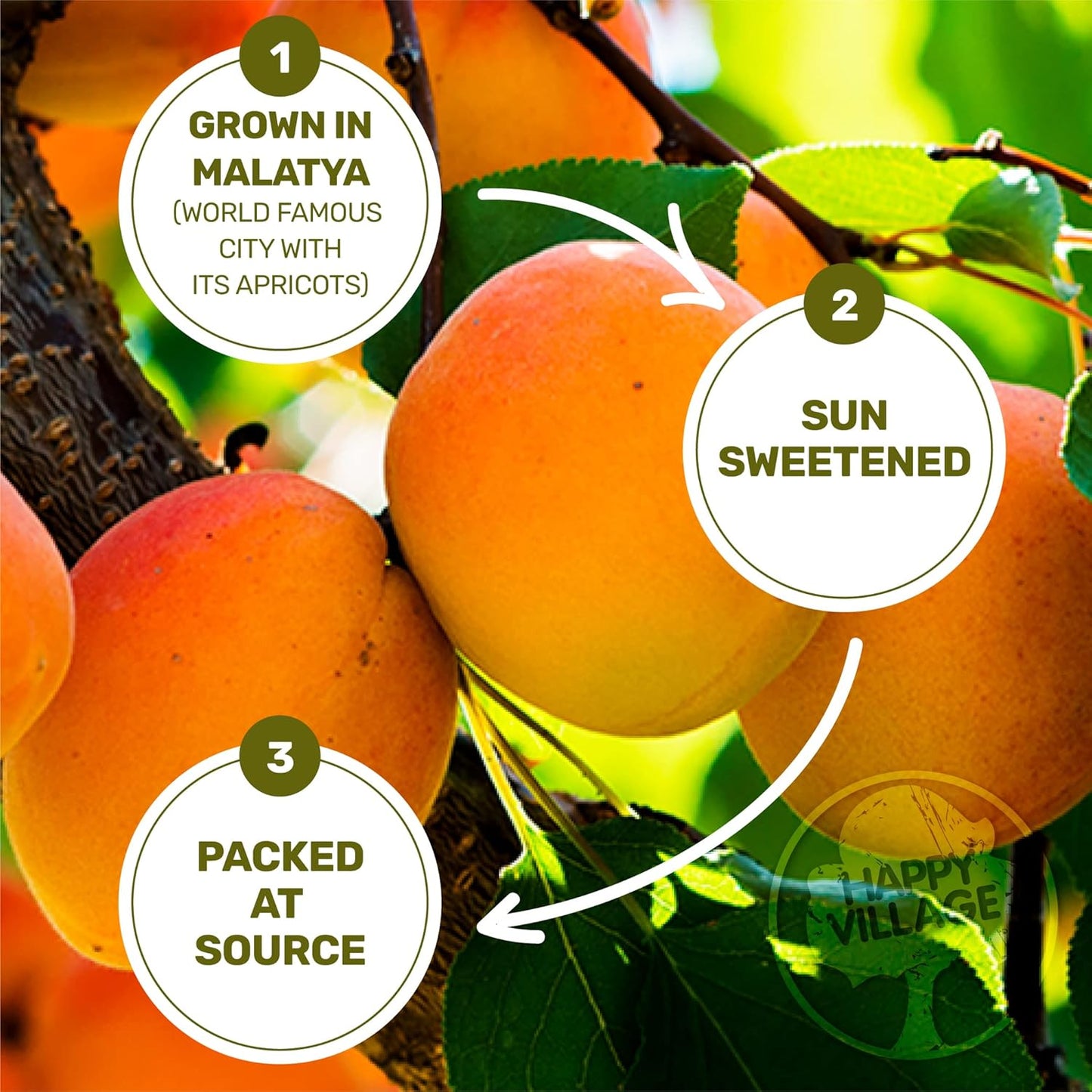 Happy Village Organic Turkish Dried Apricots 40 OZ