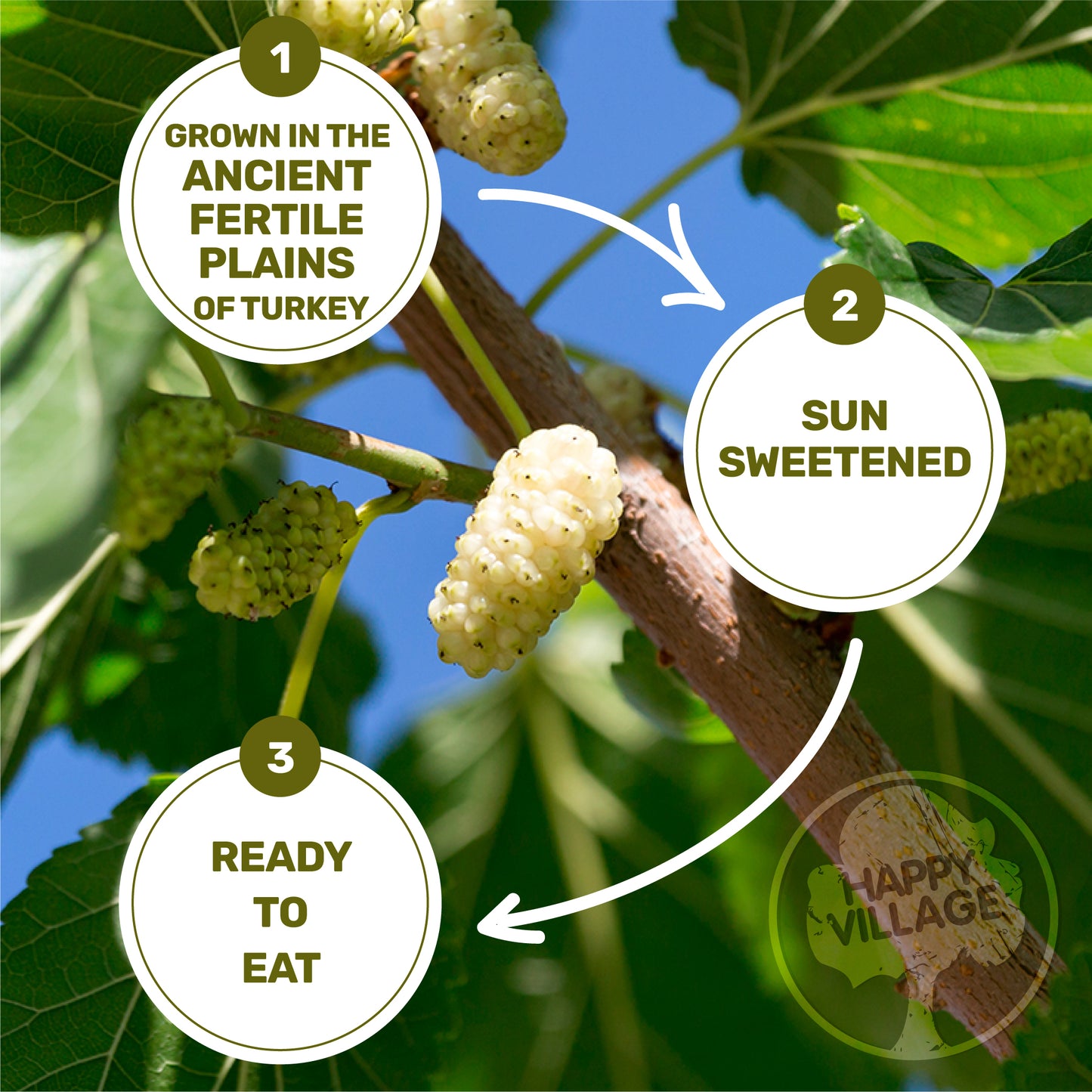 Happy Village Organic Dried Mulberries, Sun-Dried White Mulberry 15 OZ