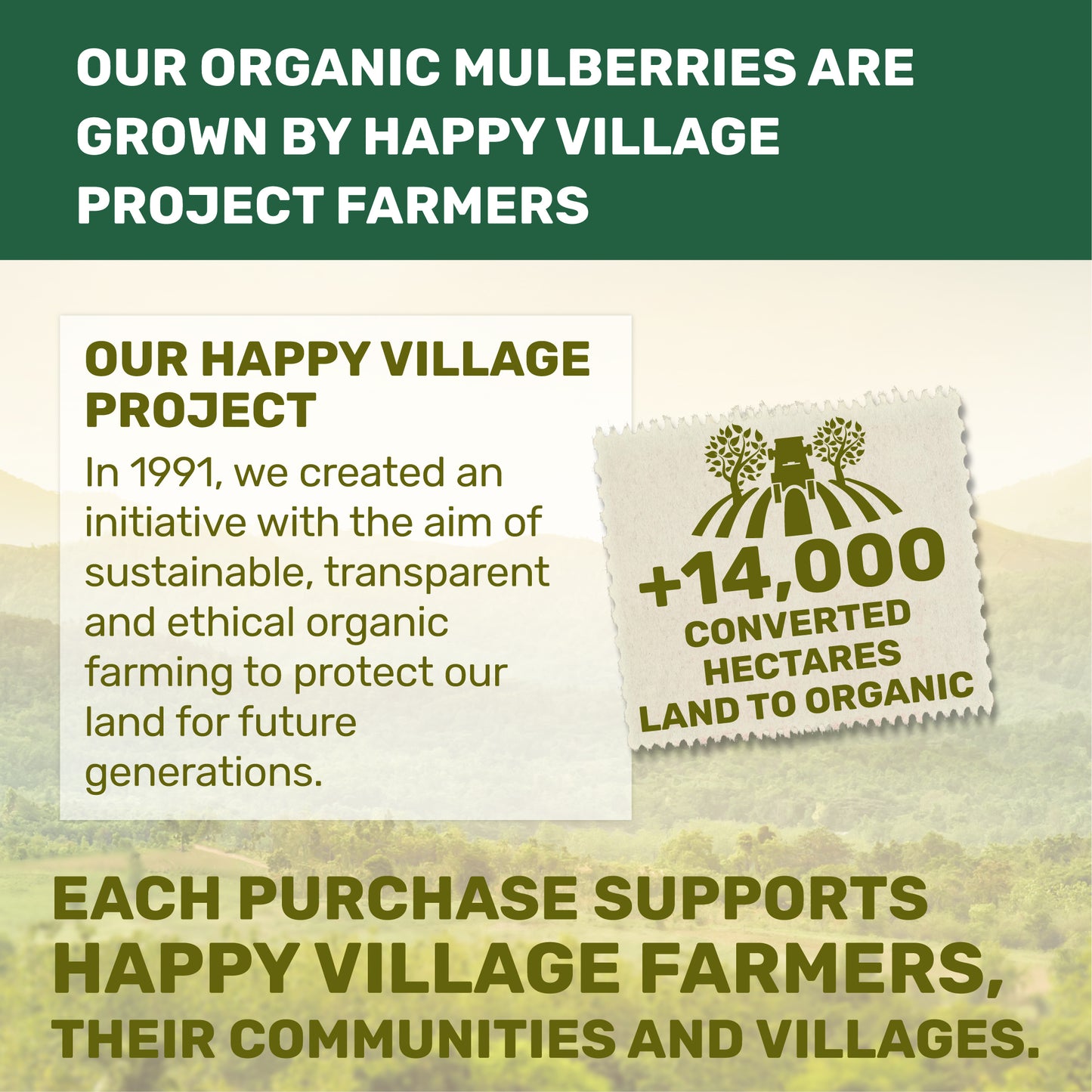 Happy Village Organic Dried Mulberries, Sun-Dried White Mulberry 15 OZ