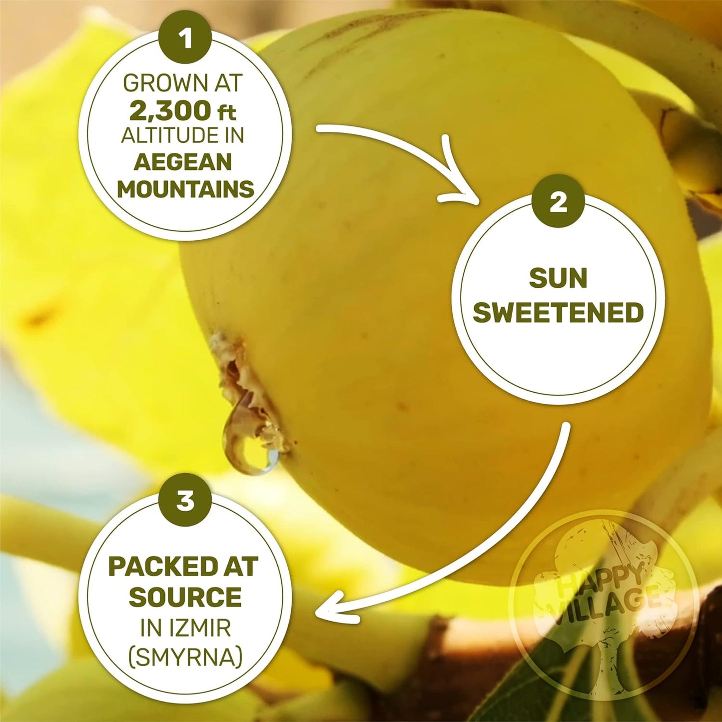 Happy Village Organic Turkish Dried Figs Value Pack 80 OZ (2 Packs of 40 OZ) Resealable Pack