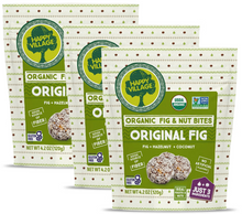 Happy Village Organic Fig & Nut Bites with Coconut Flakes – Vegan, Gluten Free Fruit & Nut Snack (3-Pack (4.2 OZ Each), Fig)