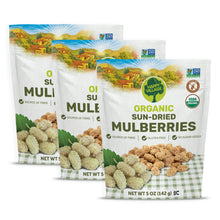 Organic dried fruits, organic mulberries, dried fruits,  No Added Sugar, Non-GMO and Kosher Certified, Gluten Free Berries