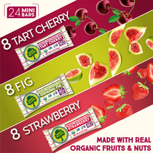Happy Village Organic Mini Fig & Nut Bars, VARIETY (24 Packs, 0.7 OZ each)