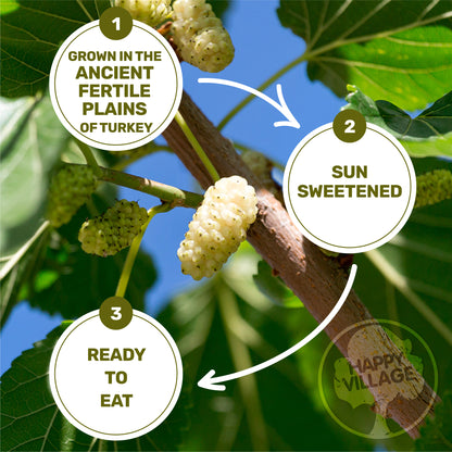Happy Village Organic Dried Mulberries, Sun-Dried White Mulberry 15 OZ